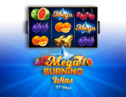 Mega Burning Wins: 27 Ways logo