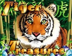 Tiger Treasures logo