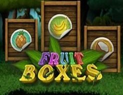 Fruit Boxes logo