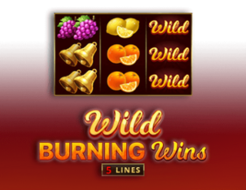 Wild Burning Wins: 5 Lines logo