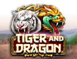 Tiger and Dragon logo