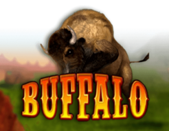 Buffalo Bingo logo