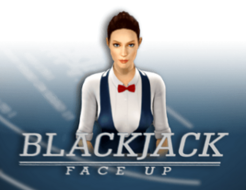 BlackJack 21 FaceUp 3D Dealer logo