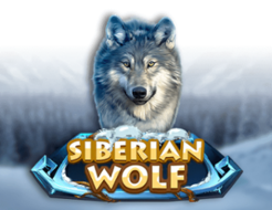 Siberian Wolf logo