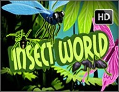 Insect World logo