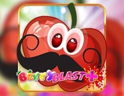 Berry Blast Plus logo