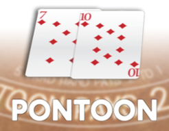 Pontoon logo