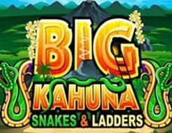 Big Kahuna Snakes and Ladders logo