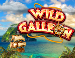 Wild Galleon logo