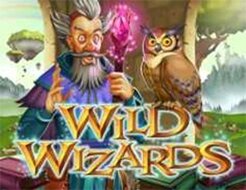 Wild Wizards logo