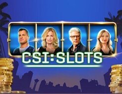 CSI logo