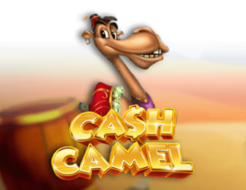 Cash Camel logo