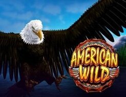 Amerian Wild logo