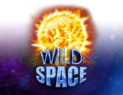 Wild Space logo