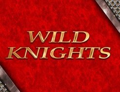 Wild Knights logo