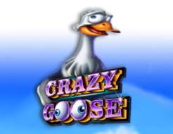 Crazy Goose logo