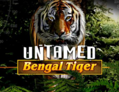 Untamed Bengal Tiger logo