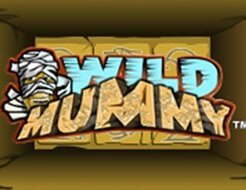 Wild Mummy logo