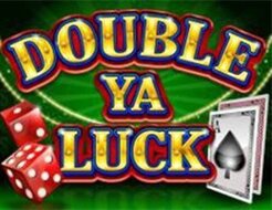 Double Ya Luck! logo