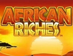 African Riches logo