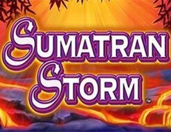 Sumatran Storm logo