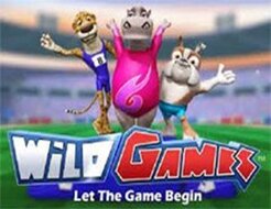 Wild Games logo