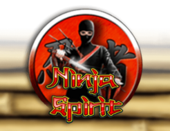 Ninja Spirit logo