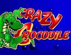 Crazy Crocodile logo