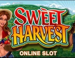 Sweet Harvest logo