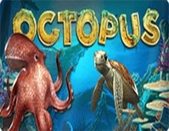 Octopus logo