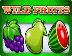 Wild Fruits logo