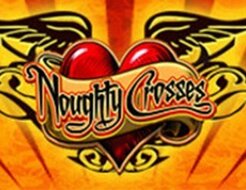 Noughty Crosses logo