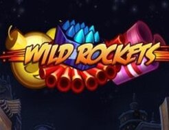 Wild Rockets logo