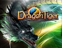 Dragon & Tiger logo