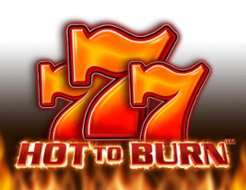 Hot to Burn logo