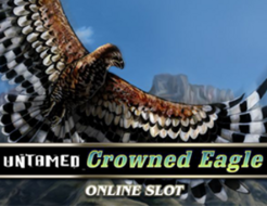 Untamed Crowned Eagle logo