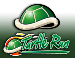 Turtle Run logo