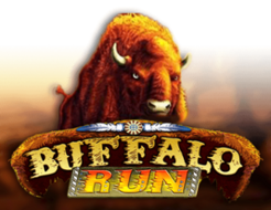 Buffalo Run logo