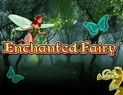 Enchanted Fairy logo