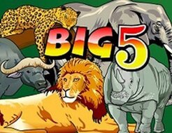 Big 5 logo