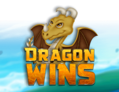 Dragon Wins 95 logo