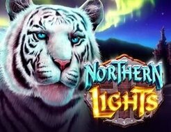 Northern Lights logo