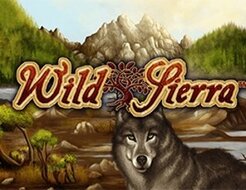 Wild Sierra logo