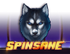 Spinsane logo