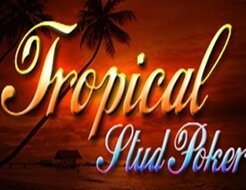 Tropical Stud Poker (Espresso) logo