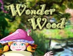 Wonder Wood logo