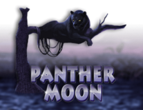 Panther Moon
