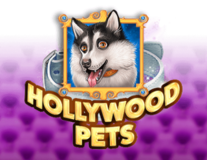 Hollywood Pets