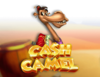 Cash Camel