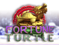 Fortune Turtle